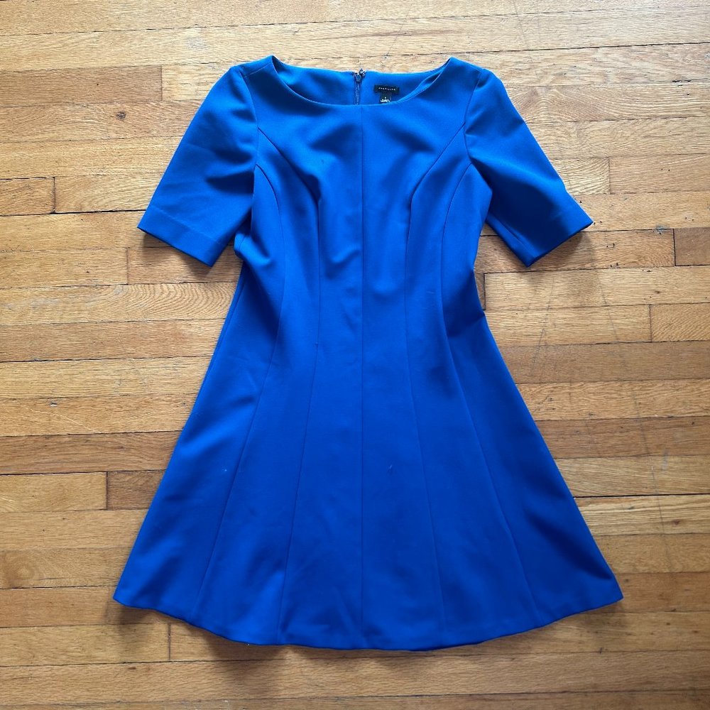 Ann Taylor Blue Fit and Flare Paneled Dress Size 8 Workwear Short Sleeve Office